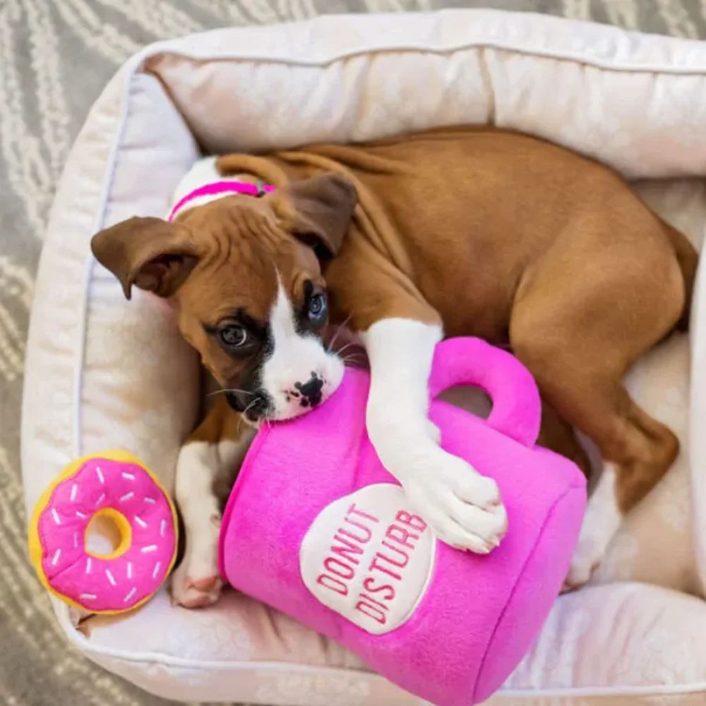 Hundespielzeug Donut Disturb