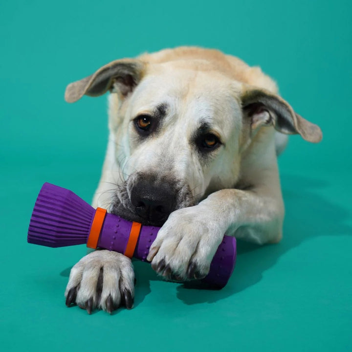 Hundespielzeug Apportierstab