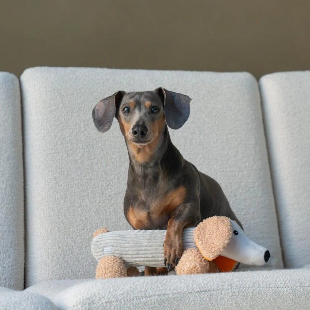 Hundespielzeug Dackel Micky