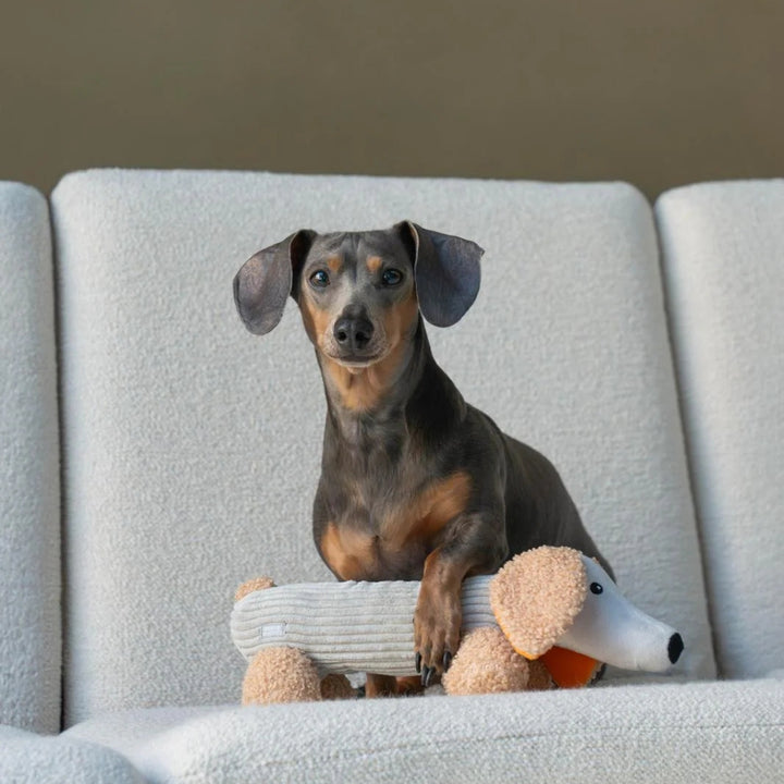 Hundespielzeug Dackel Micky