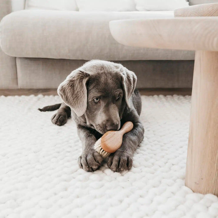 Welpenbürste super soft