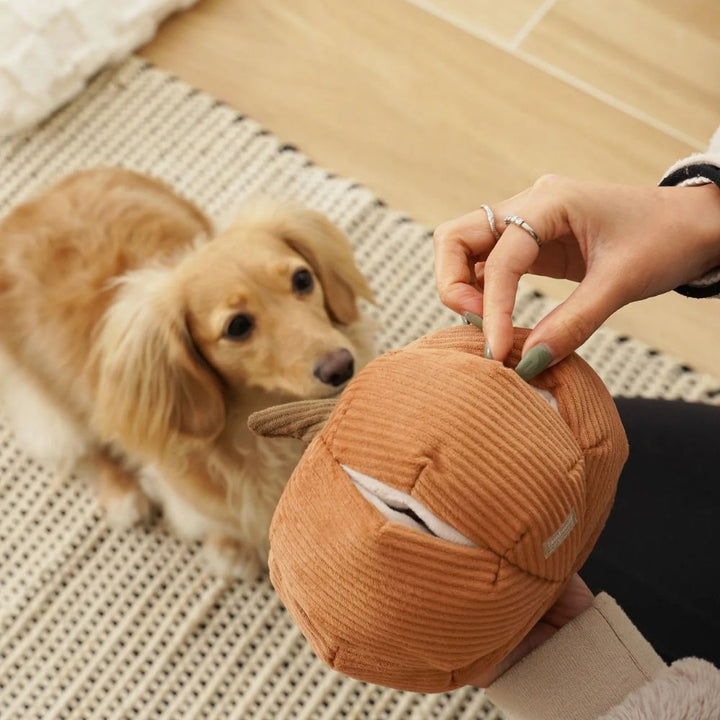 Hundespielzeug Schnüffel-Cinderella-Kürbis