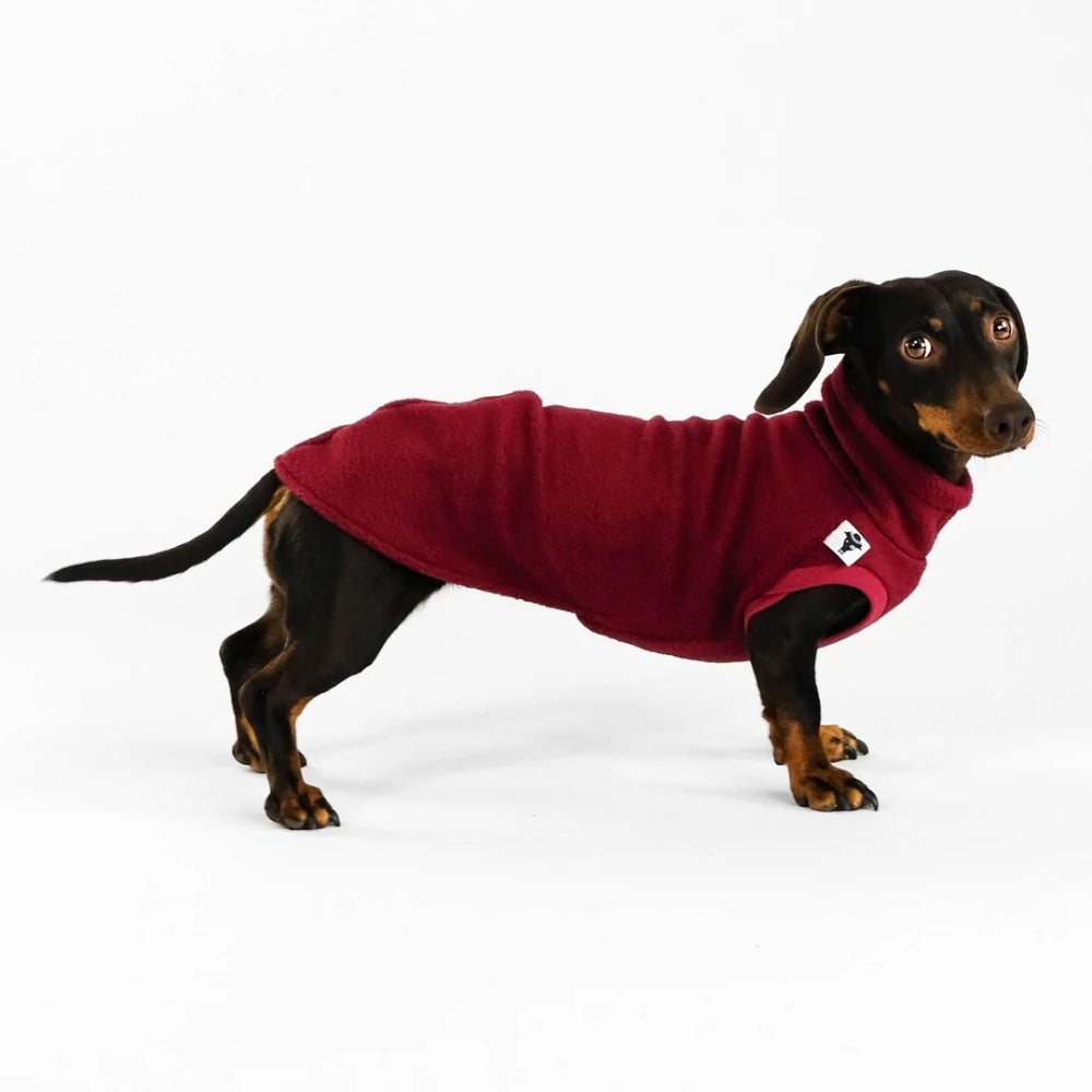 LONG SHIRT 2.0 für Dackel in Bordeaux