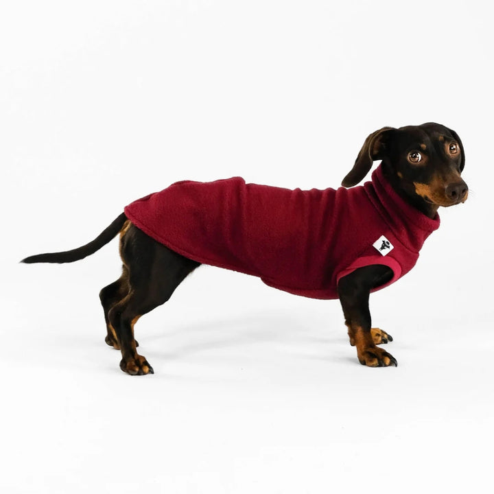 LONG SHIRT 2.0 für Dackel in Bordeaux