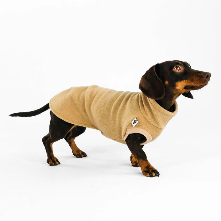 LONG SHIRT 2.0 für Dackel in Camel