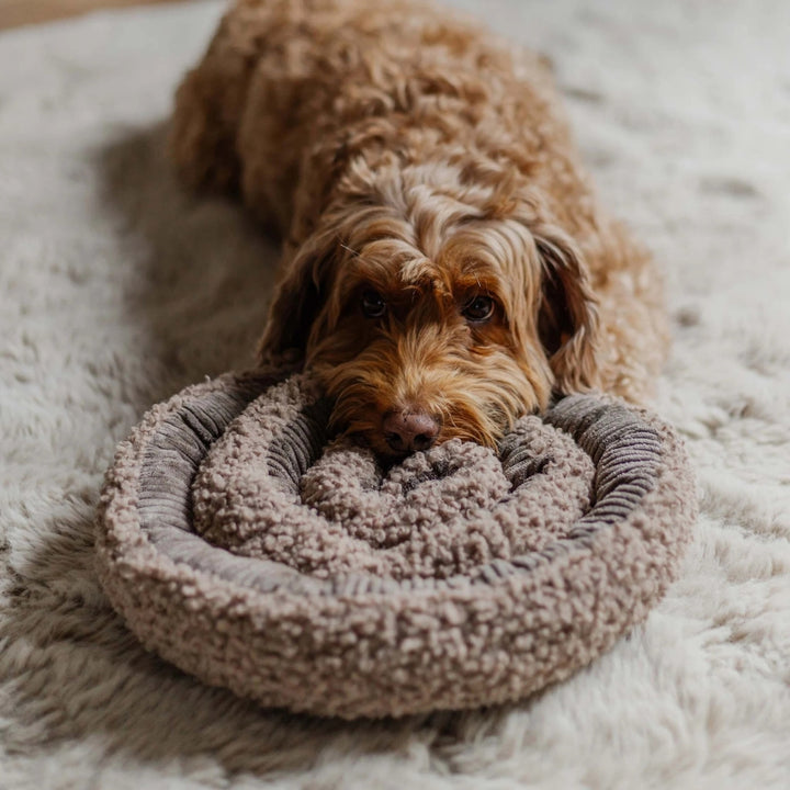 Schnüffelteppiche für Hunde - Swirl