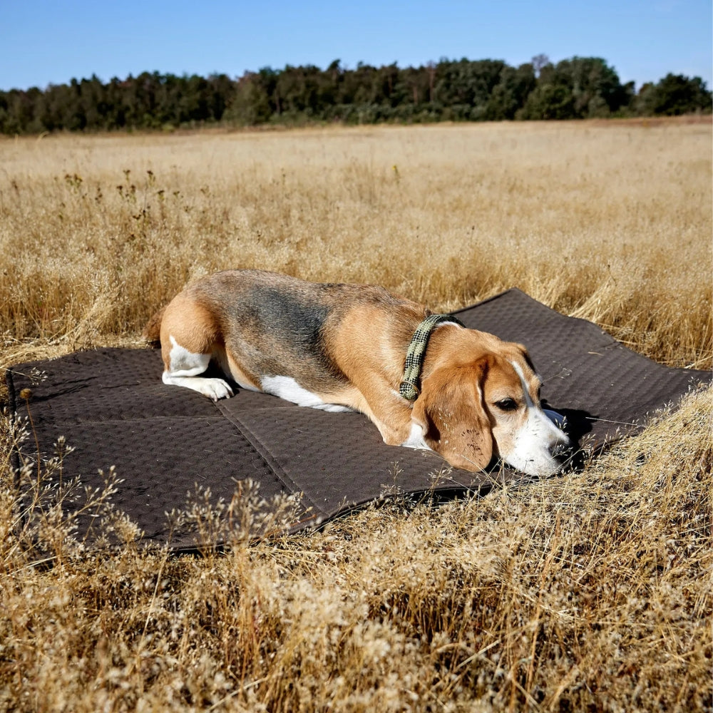 Hundemattentasche - Nobo in Anthrazit
