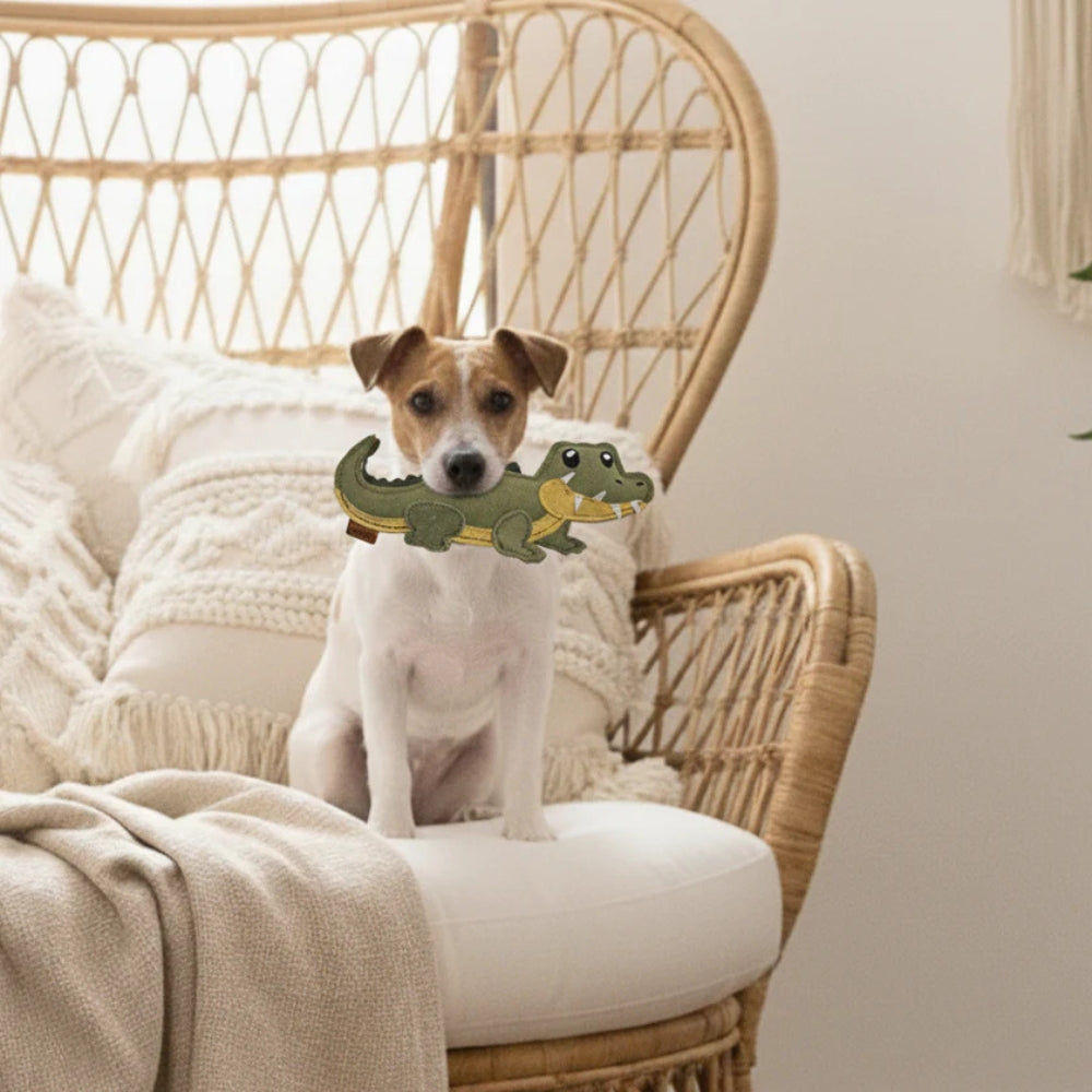 Hundespielzeug Krokodil Kasimir