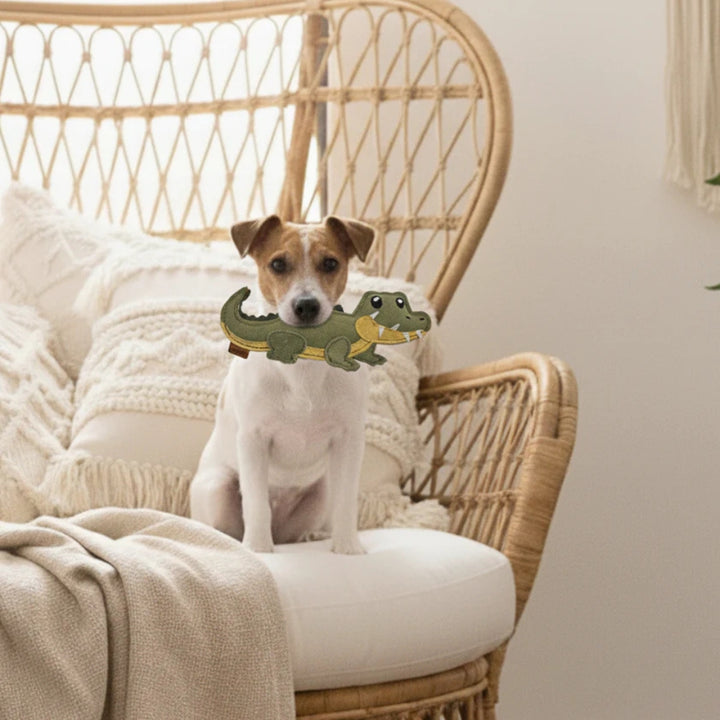 Hundespielzeug Krokodil Kasimir