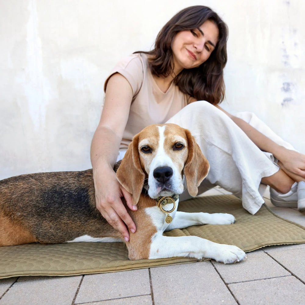 Hundemattentasche - Nobo in Salbei