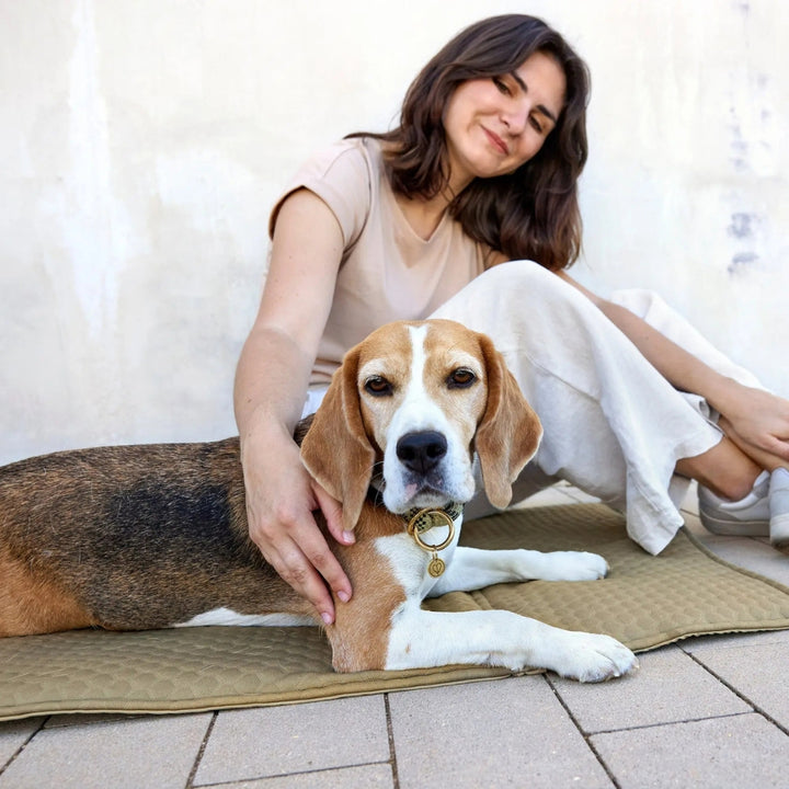 Hundemattentasche - Nobo in Salbei