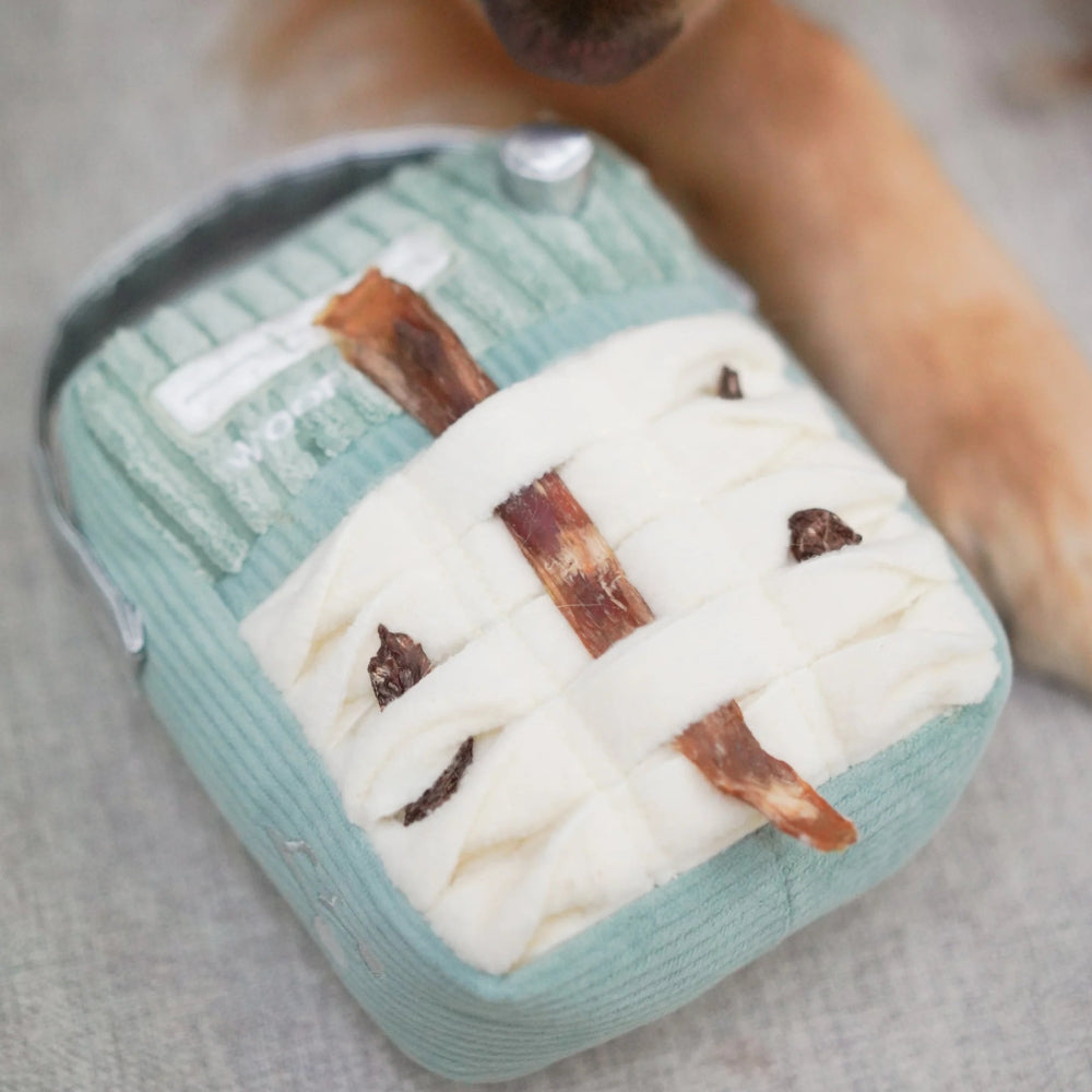 Hundespielzeug FM-Radio