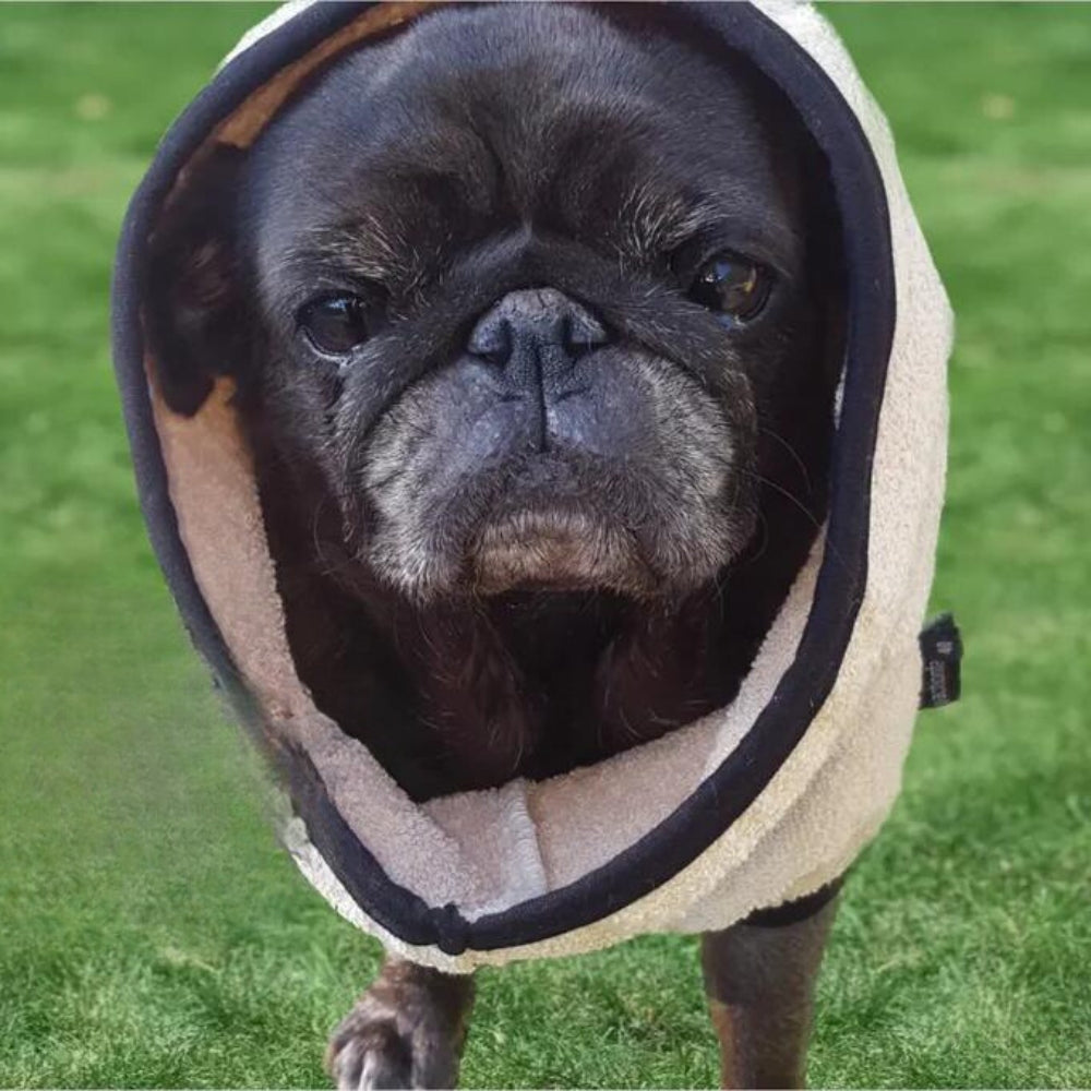 Dog bathrobe for Bully, Pug and Co. 