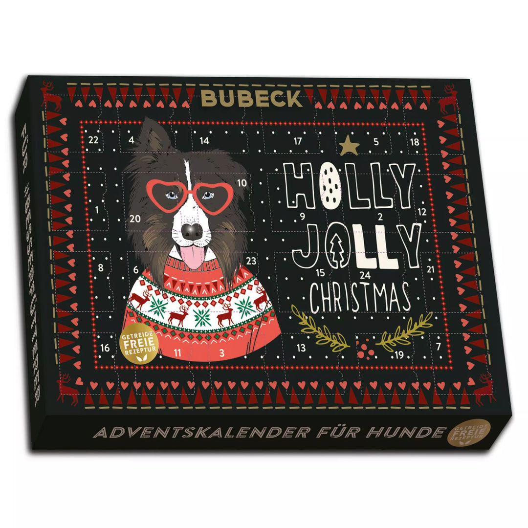 Adventskalender 2026 Hipster – 24 Tage Hundeglück