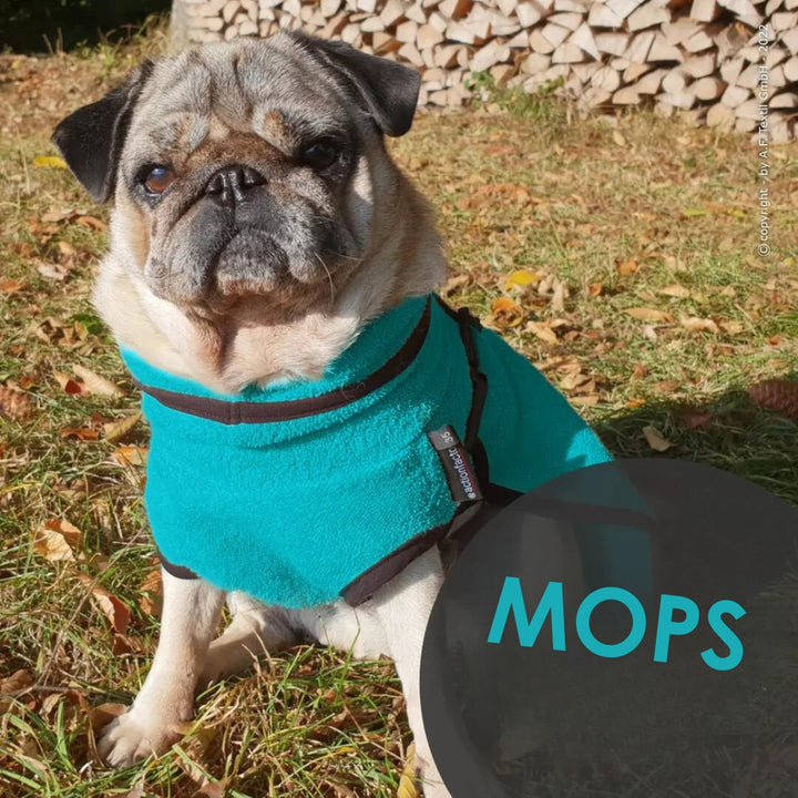 Hondenbadjas voor Bully, Mops en Co. 