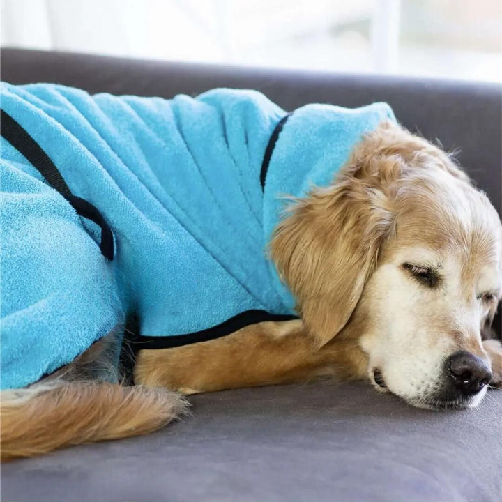 Dog bathrobe turquoise