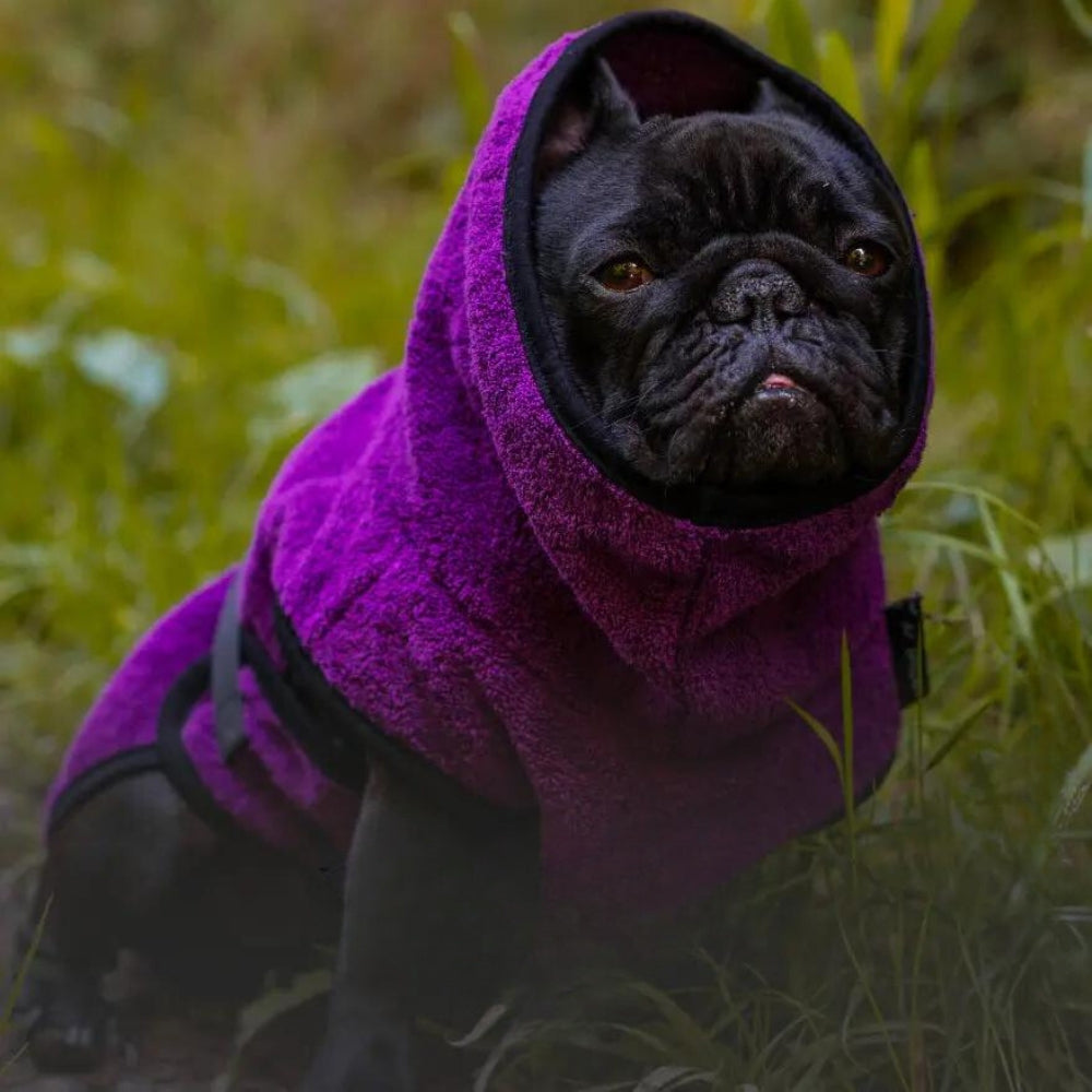 Dog bathrobe for Bully, Pug and Co. 