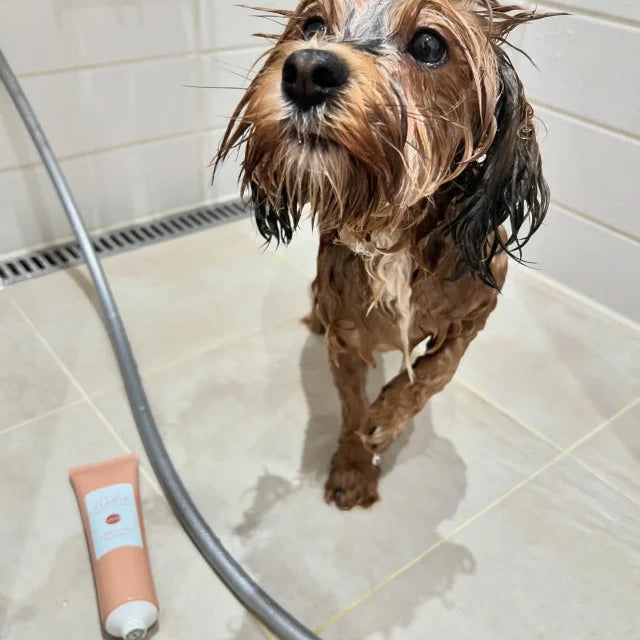 Schmusen & Pflegen Shampoo Vand
