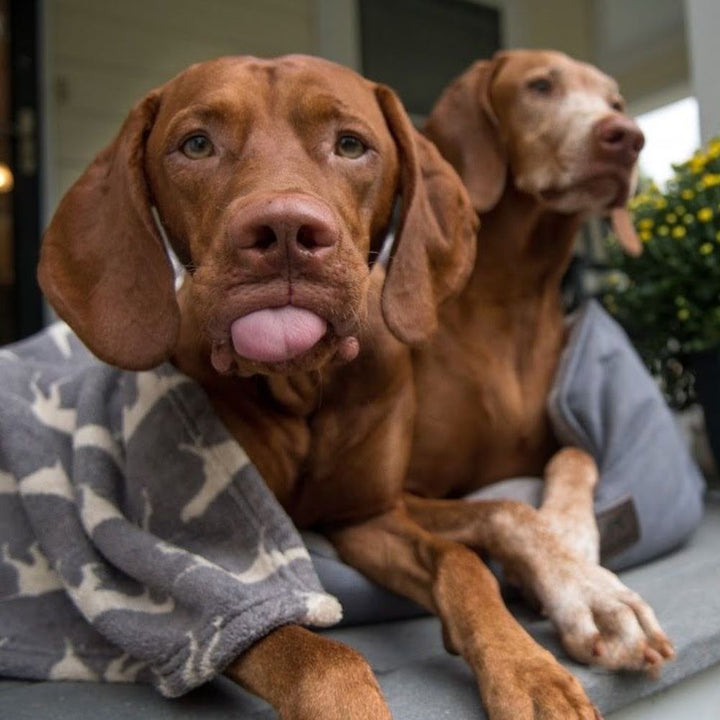 Kuscheldecke mit Hundesilhouette