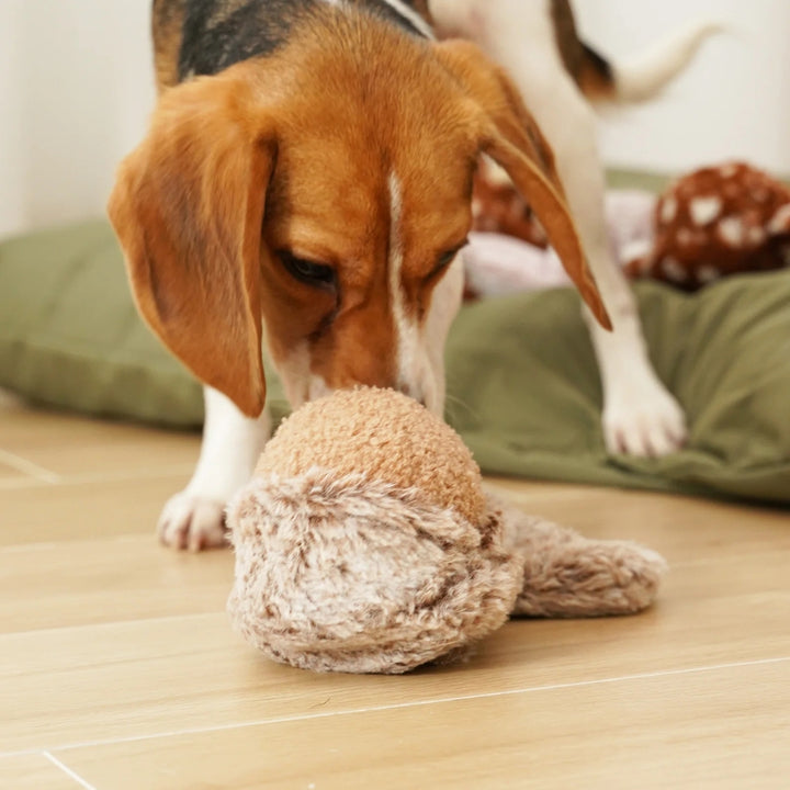 Hundespielzeug Eichhörnchenball