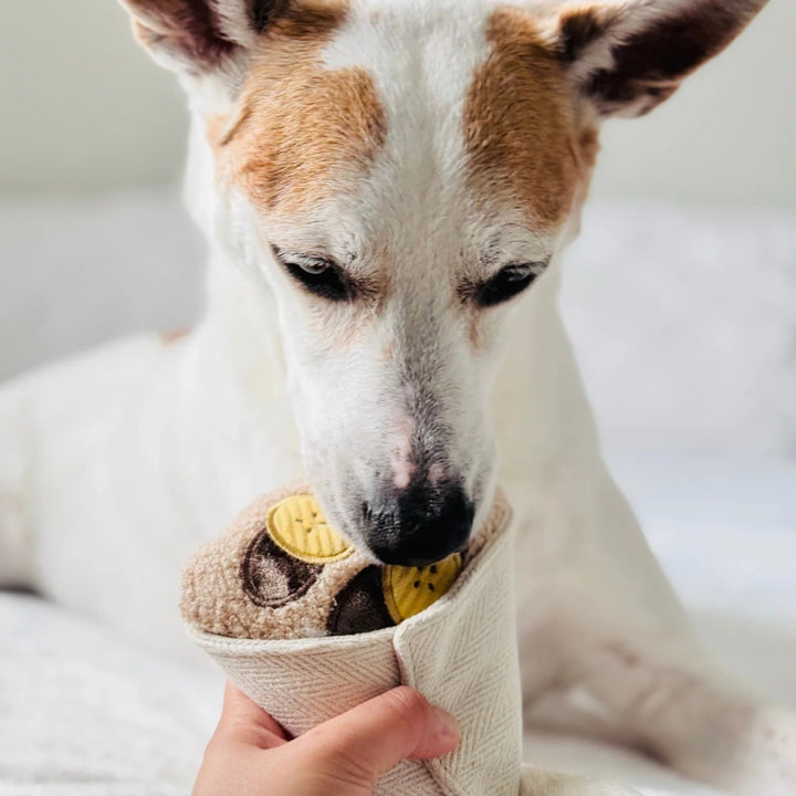 Hundespielzeug Schnüffel-Crêpe
