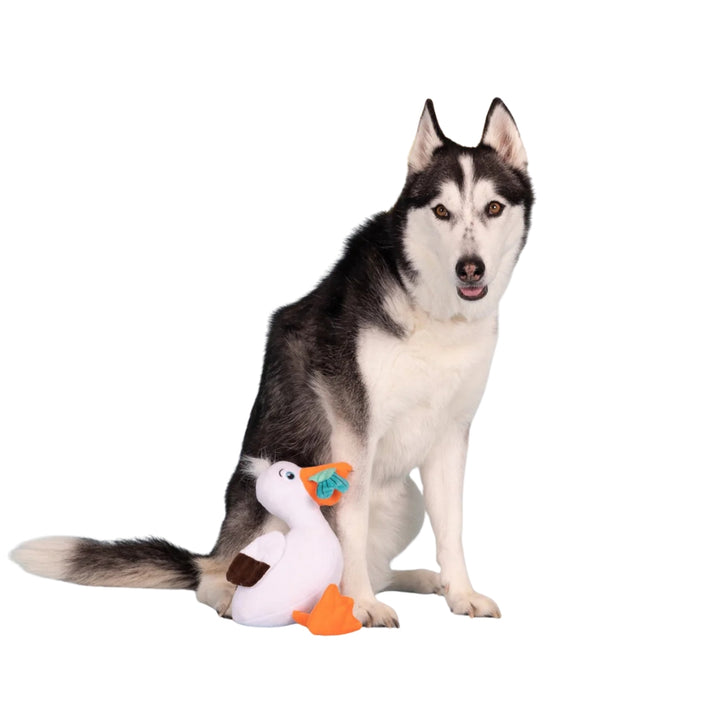 Hundespielzeug Möwe Mik