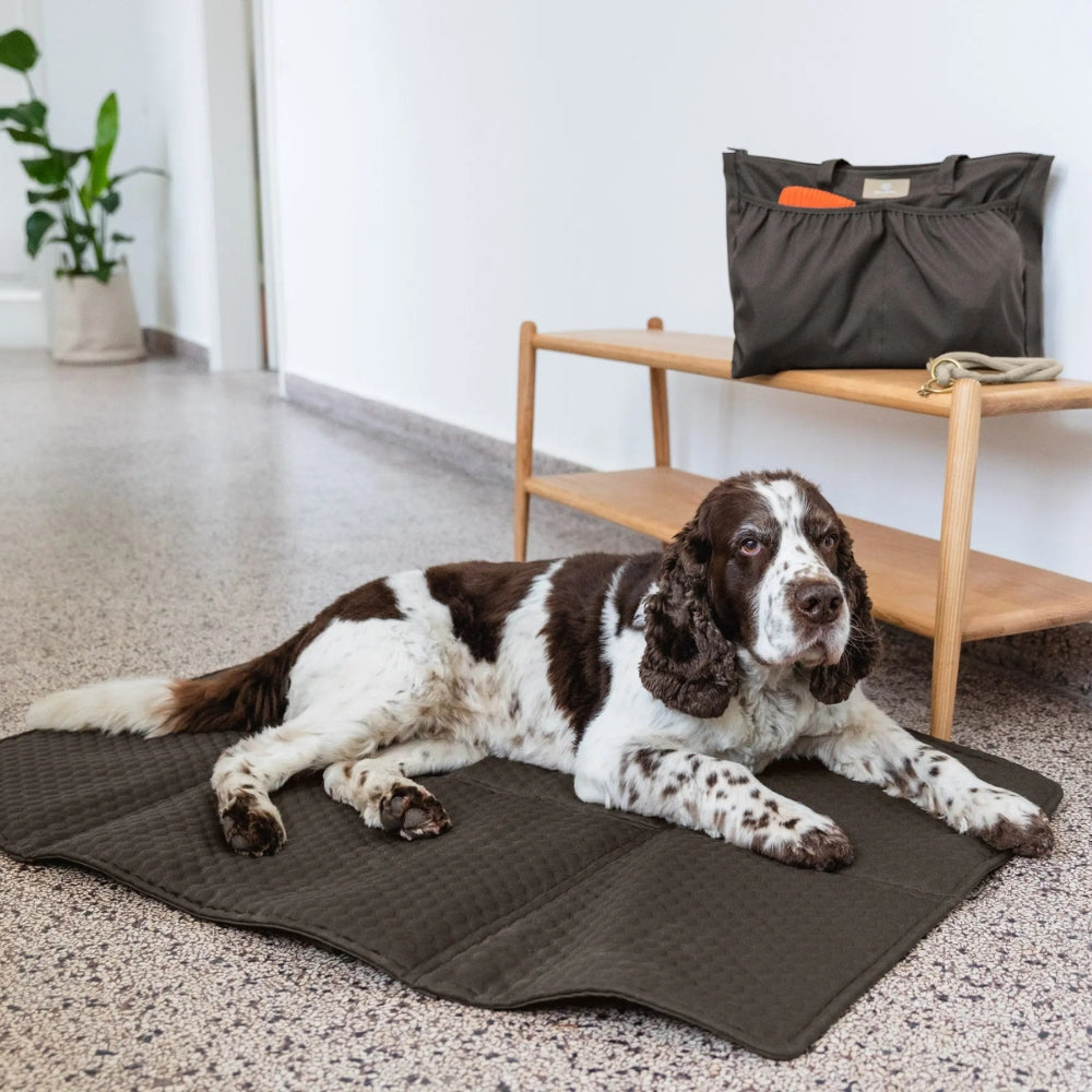 Multitalent Organizer Jari in Anthrazit