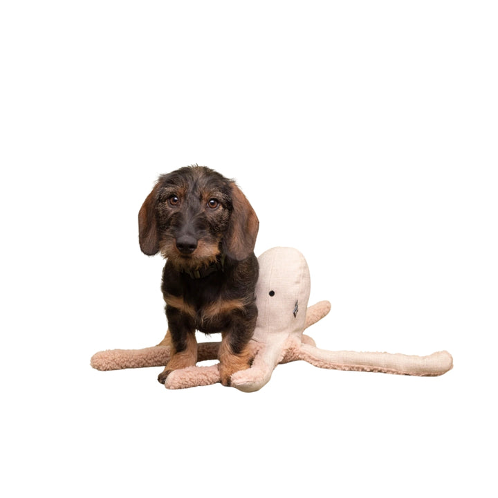 Hundespielzeug Oktopus Otto