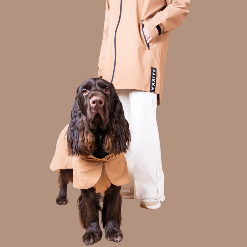 Regenjacke hochreflektierend Taupe