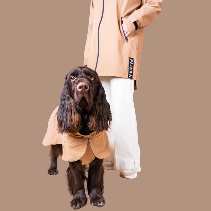 Regenjacke hochreflektierend Taupe