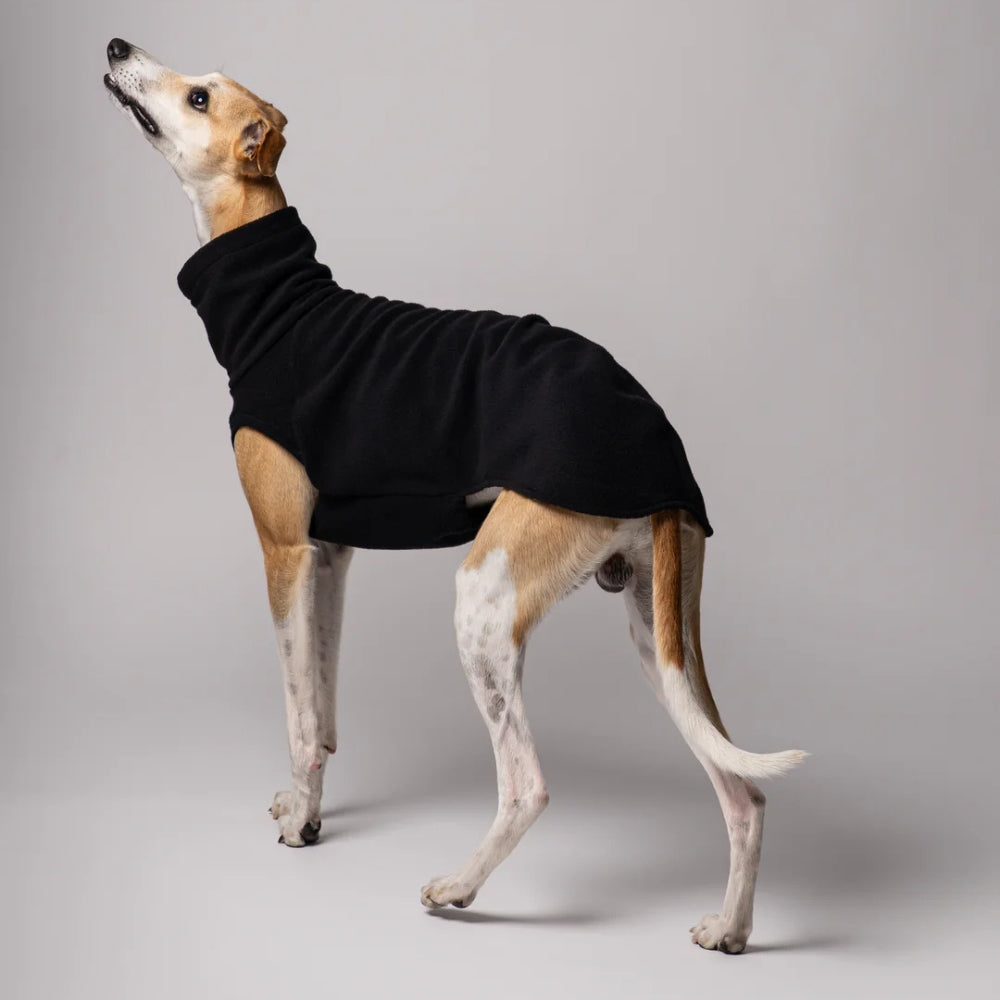 LONG SHIRT 2.0 für Whippet, Windsprite, Podenco, Galgo in Schwarz