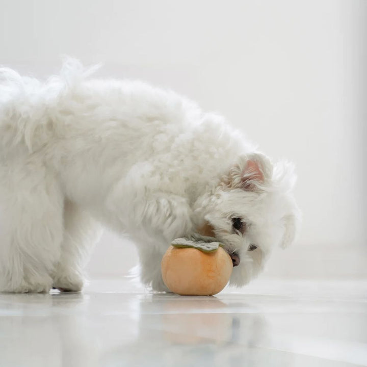 Hundespielzeug Schnüffel-Kaki