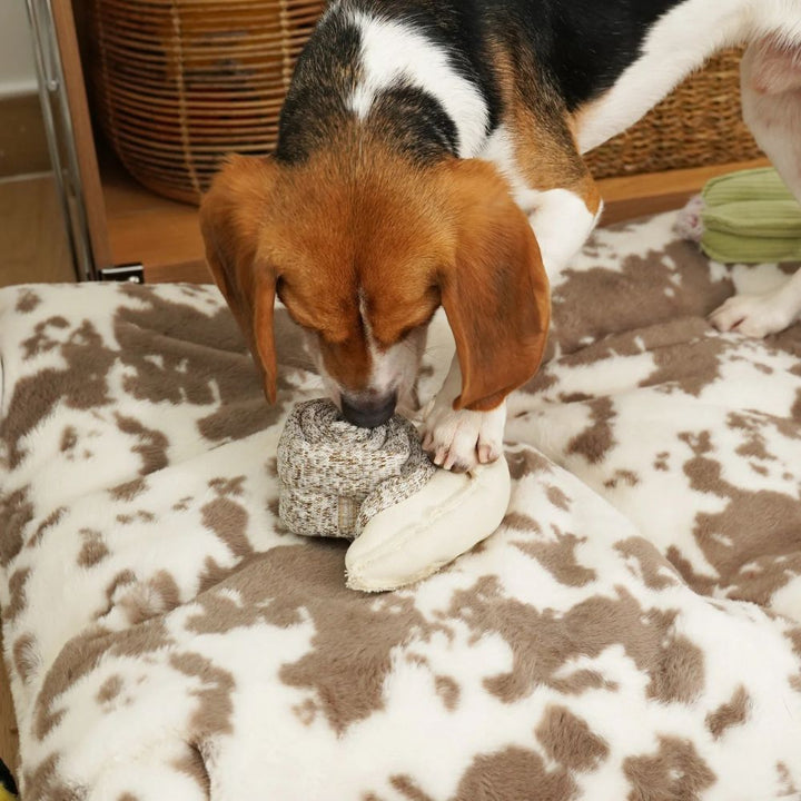 Hundespielzeug Schnüffel-Schnecke