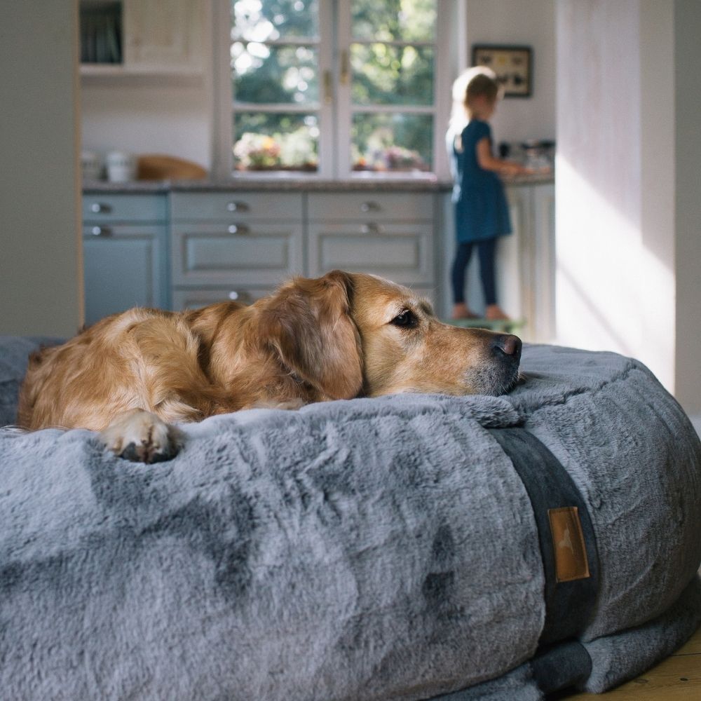 Hund liegt auf dem HYGGEBED - Handgefertigtes Hundebett in der Farbe Taupe