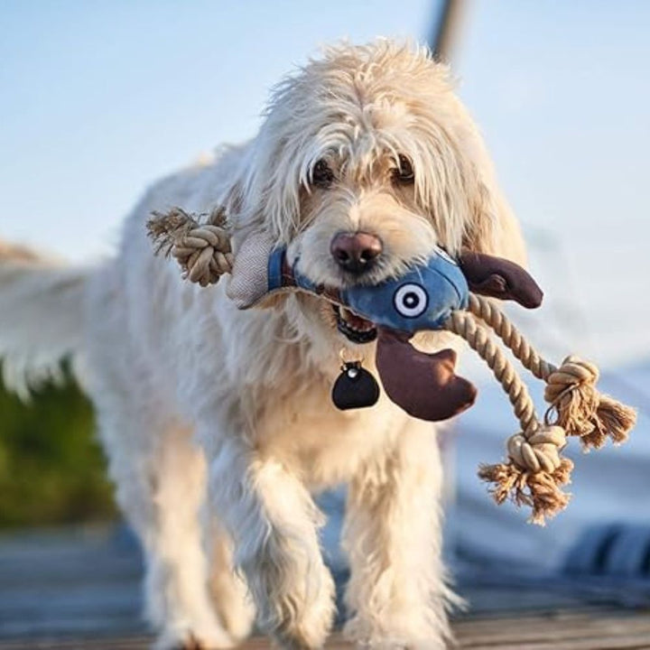 Hundespielzeug Knoten Hummer Sansibar