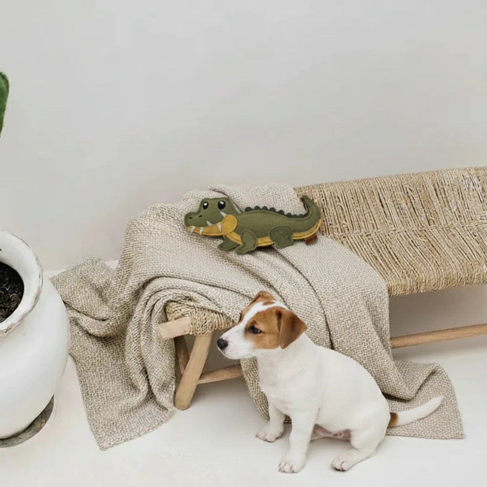 Hundespielzeug Krokodil Kasimir