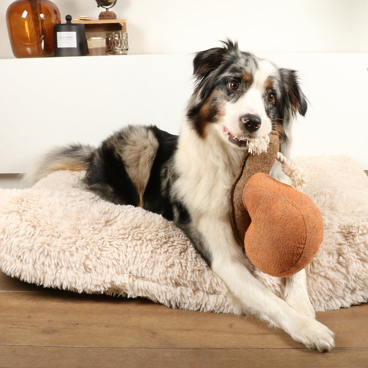 Hundespielzeug Schnecke Sheldon