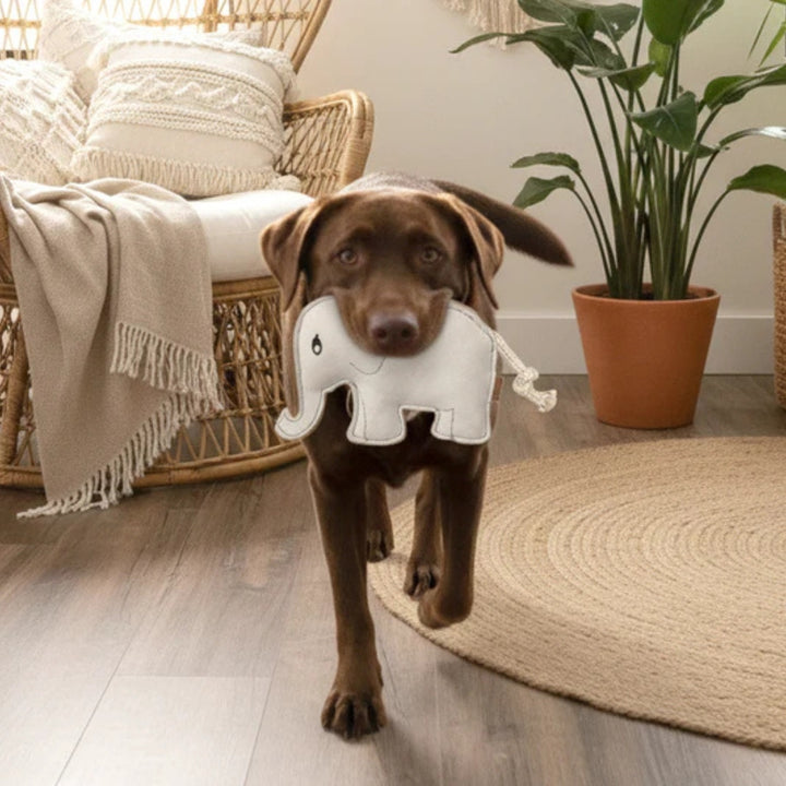 Hundespielzeug Elefant Eleonora