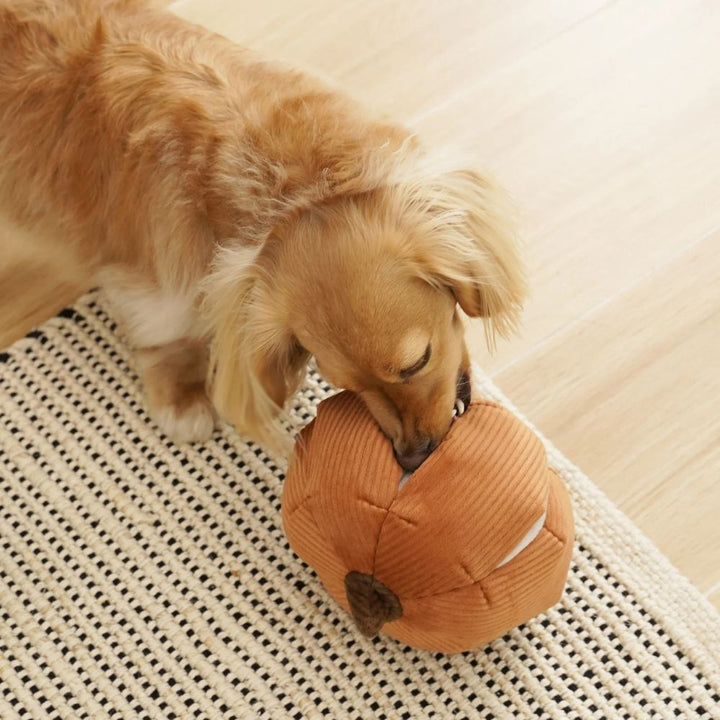 Hundespielzeug Schnüffel-Cinderella-Kürbis