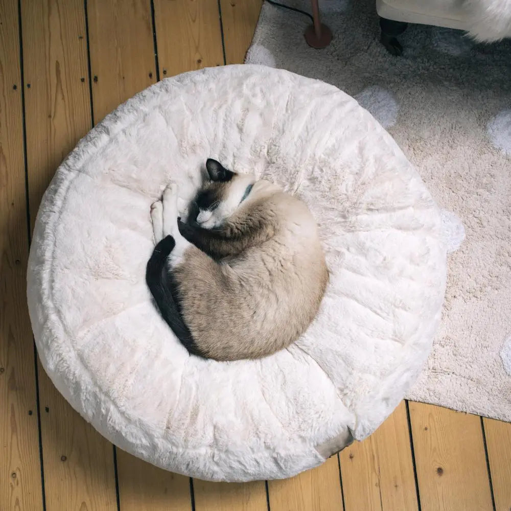 HYGGEBED 4 Cats taupe S Jetzt erhältlich bei  Dogsmopolitan