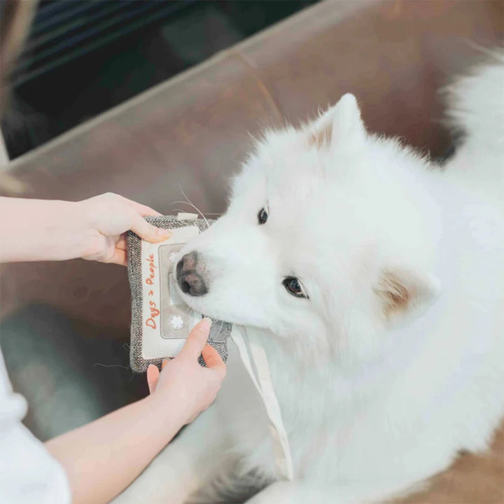 Hundespielzeug Schnüffel-Kassette