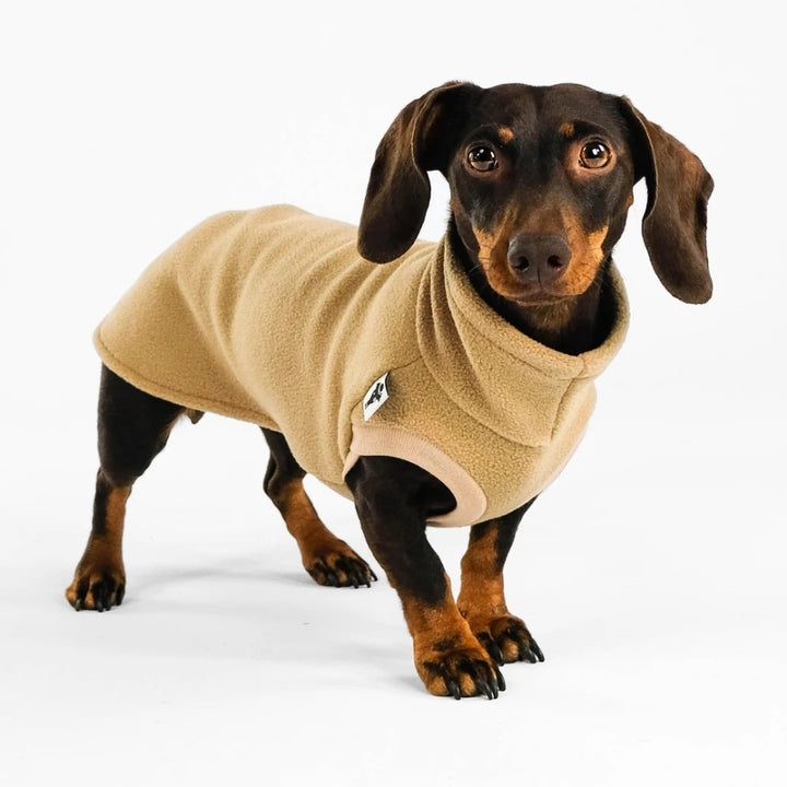 LONG SHIRT 2.0 für Dackel in Camel
