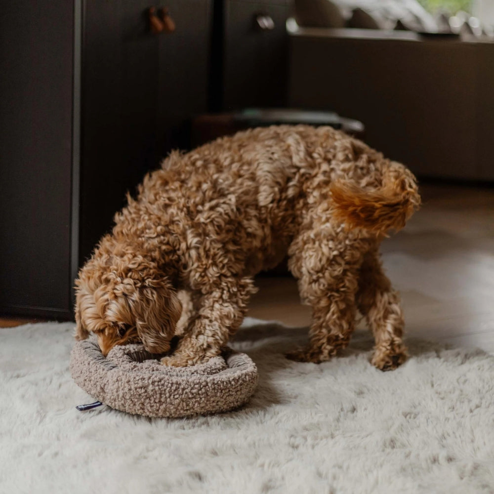Schnüffelteppiche für Hunde - Swirl