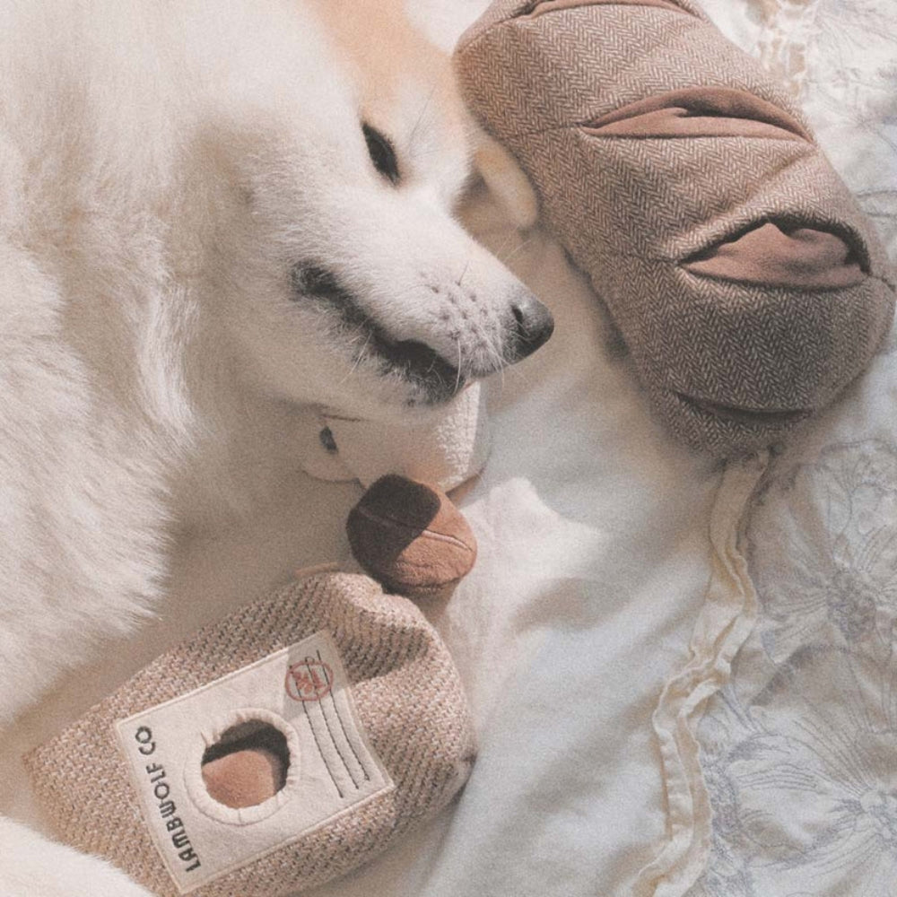 Hundespielzeug Schnüffel-Baguette