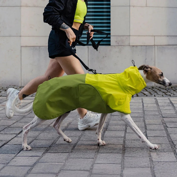 Hunderegenmantel AKTIV Neon Green/Light Olive