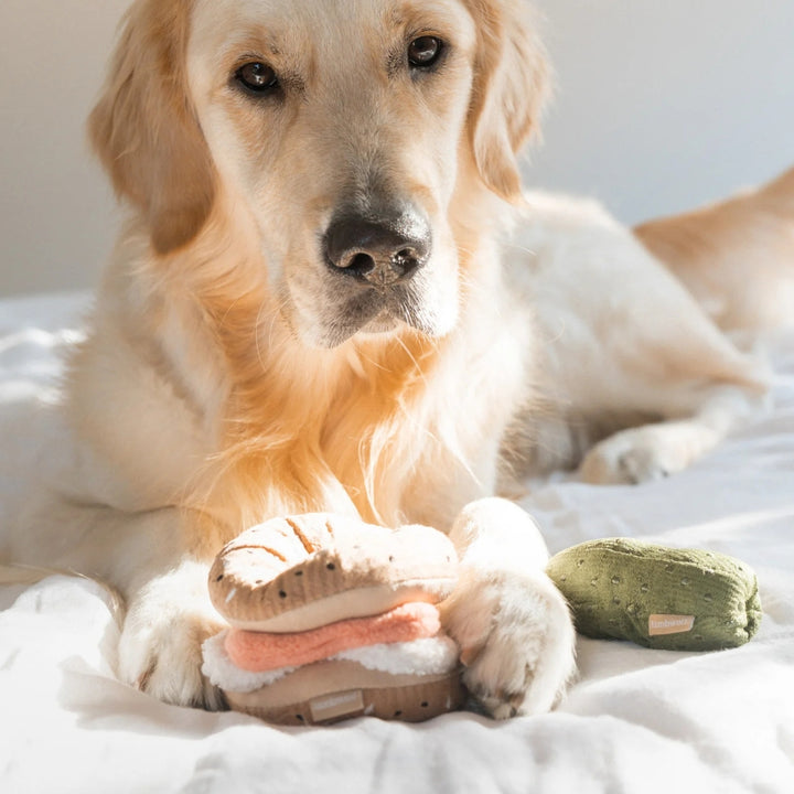 Hundespielzeug Schnüffelduo Bagel mit Gurke