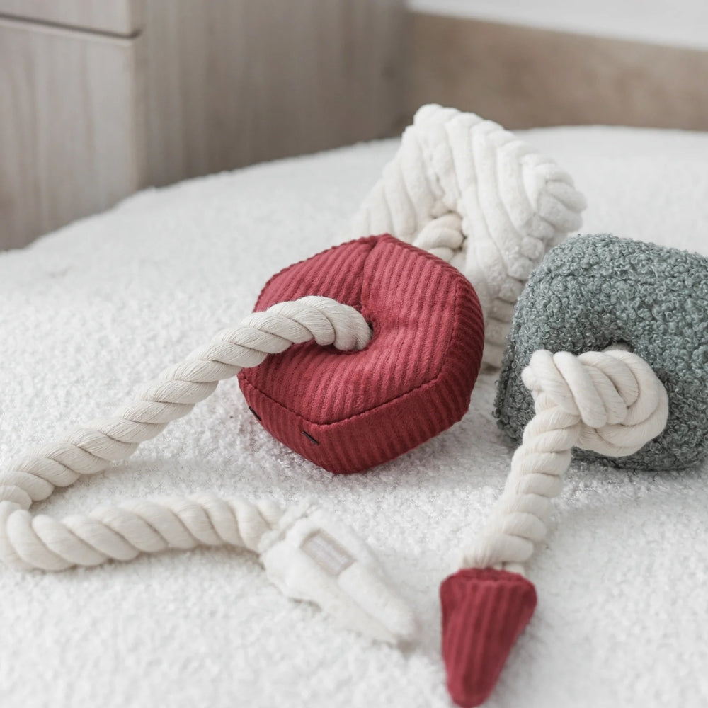 Hundespielzeug Schnüffel-Block-Kette *Limited Edition*