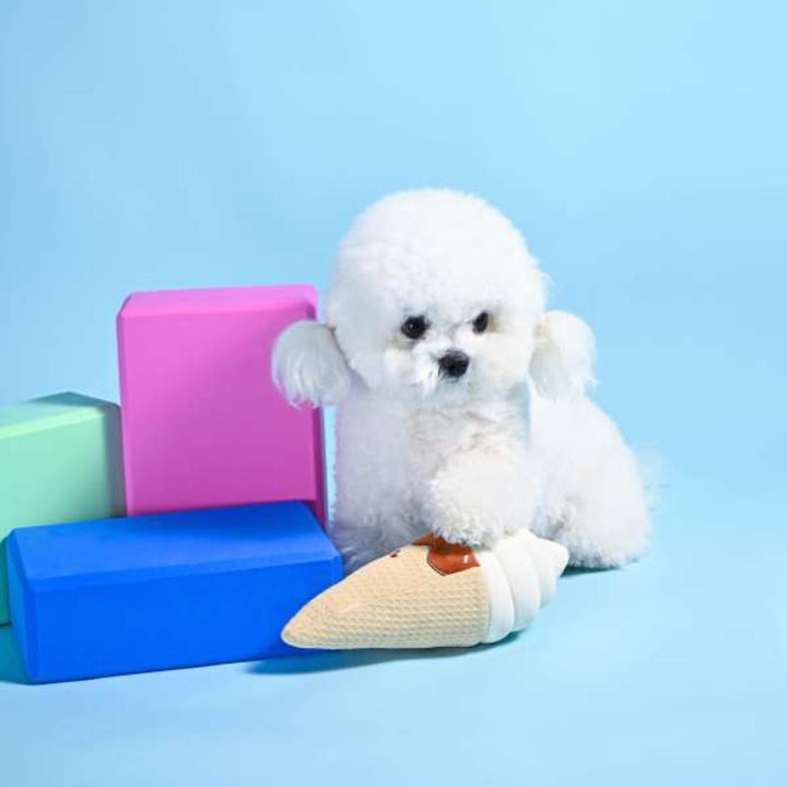 Hundespielzeug Eistüte