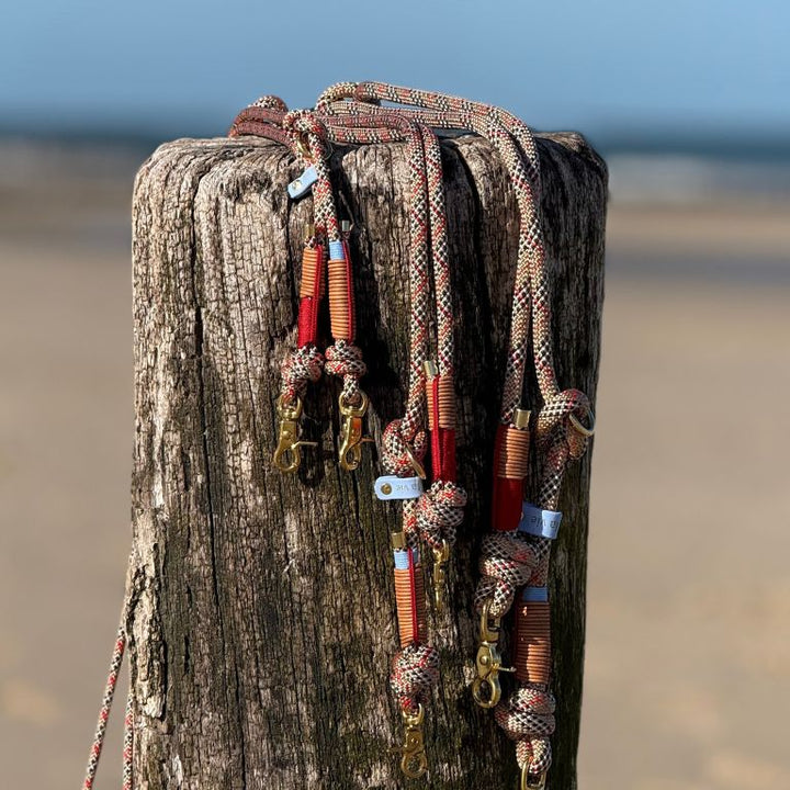 Tauleine Domburg