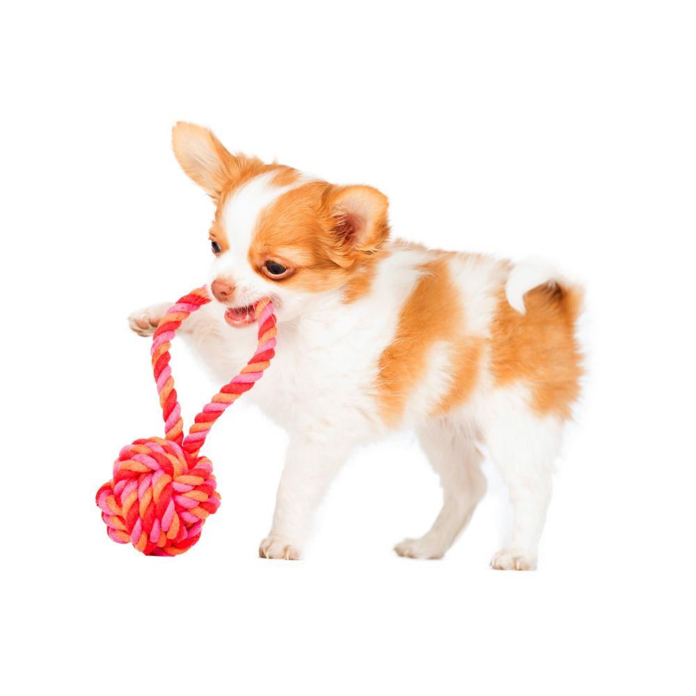 Hundespielzeug Schleuderball von LABONI